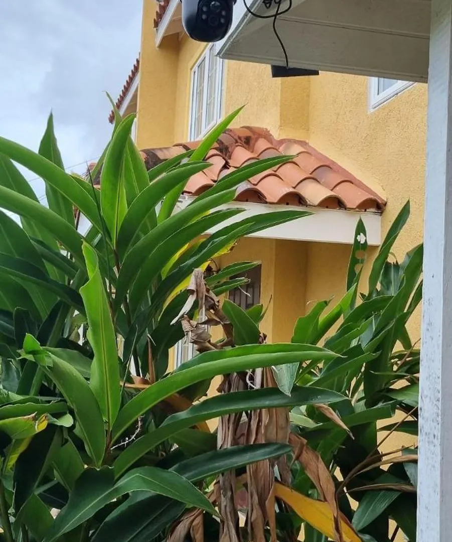 蒙特哥贝Mango Retreat In Mango Walk Country Club公寓 0*, 蒙特哥贝